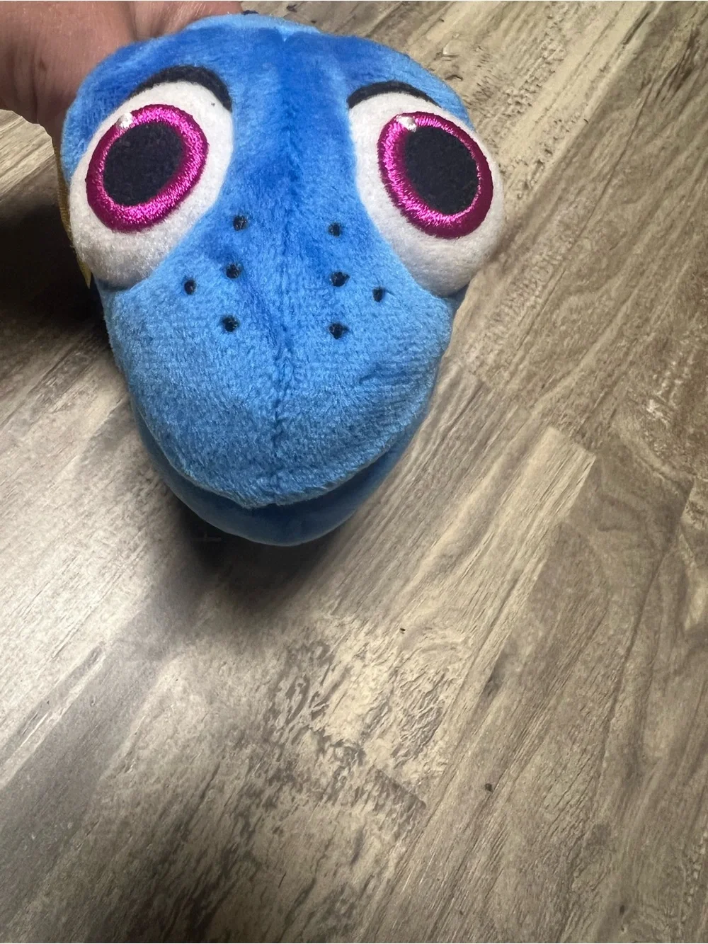 Ty Sparkle Dory Beanie Baby Disney Pixar 2016 Movie Plush Toy